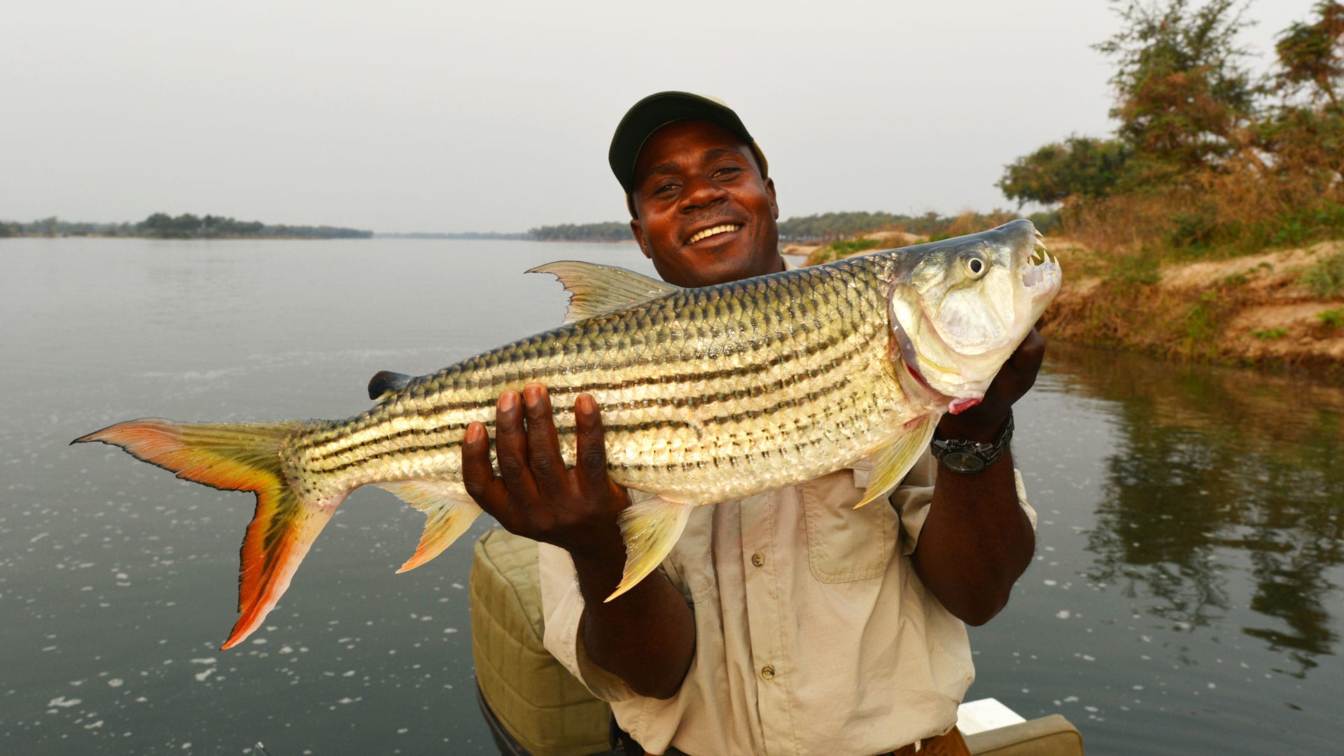 Tiger fish caught in the Zambezi River