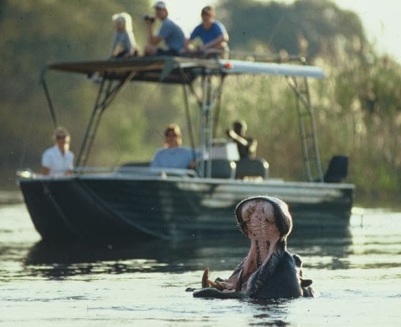 Scenic boat cruise on the river at Zambali Lodge